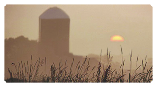 DSC700 334 BZ Harvest Sunrise Bronze